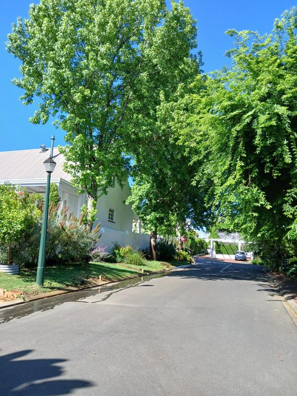 To Let 1 Bedroom Property for Rent in Paradyskloof Western Cape